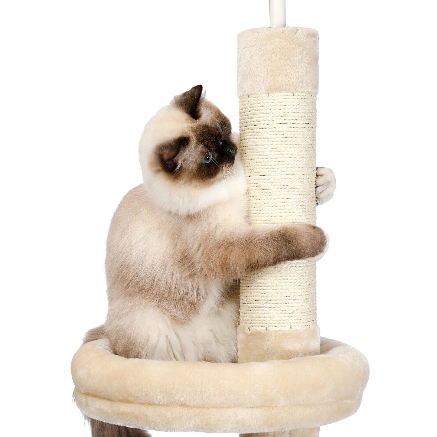 PAWZ Road Kratzbaum Deckenhoch Kletterturm Sisal Katzen Katzenbaum XL 228-274 Cm