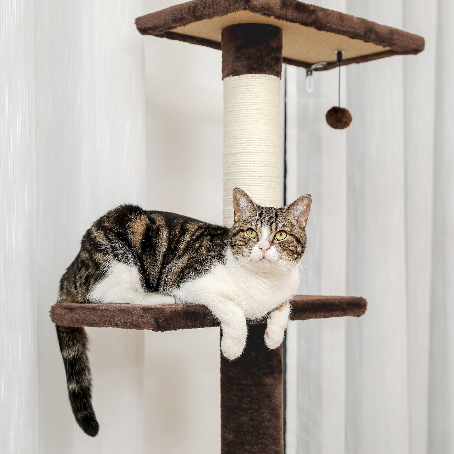 PAWZ Road Kratzbaum Deckenhoch Kletterturm Sisal Katzen Katzenbaum XL 228-274 Cm