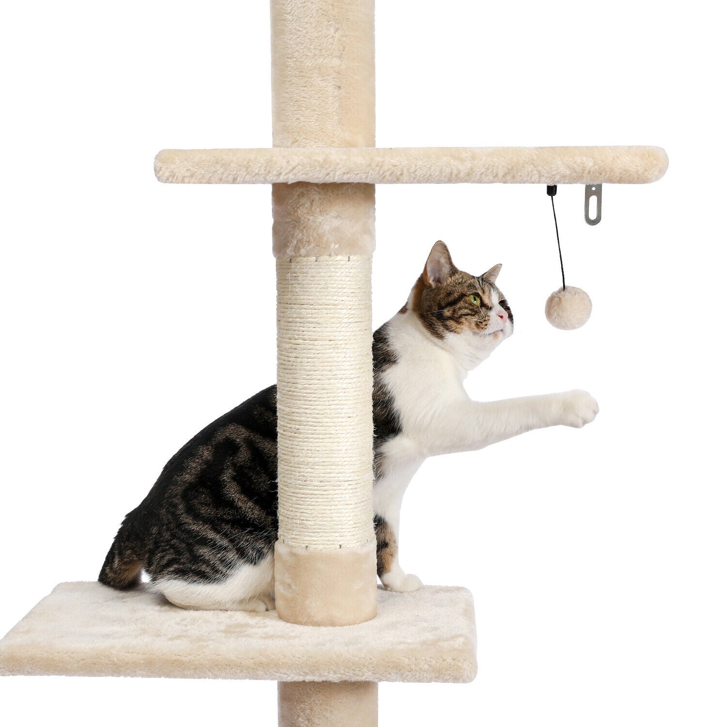 PAWZ Road Kratzbaum Deckenhoch Kletterturm Sisal Katzen Katzenbaum XL 228-274 Cm
