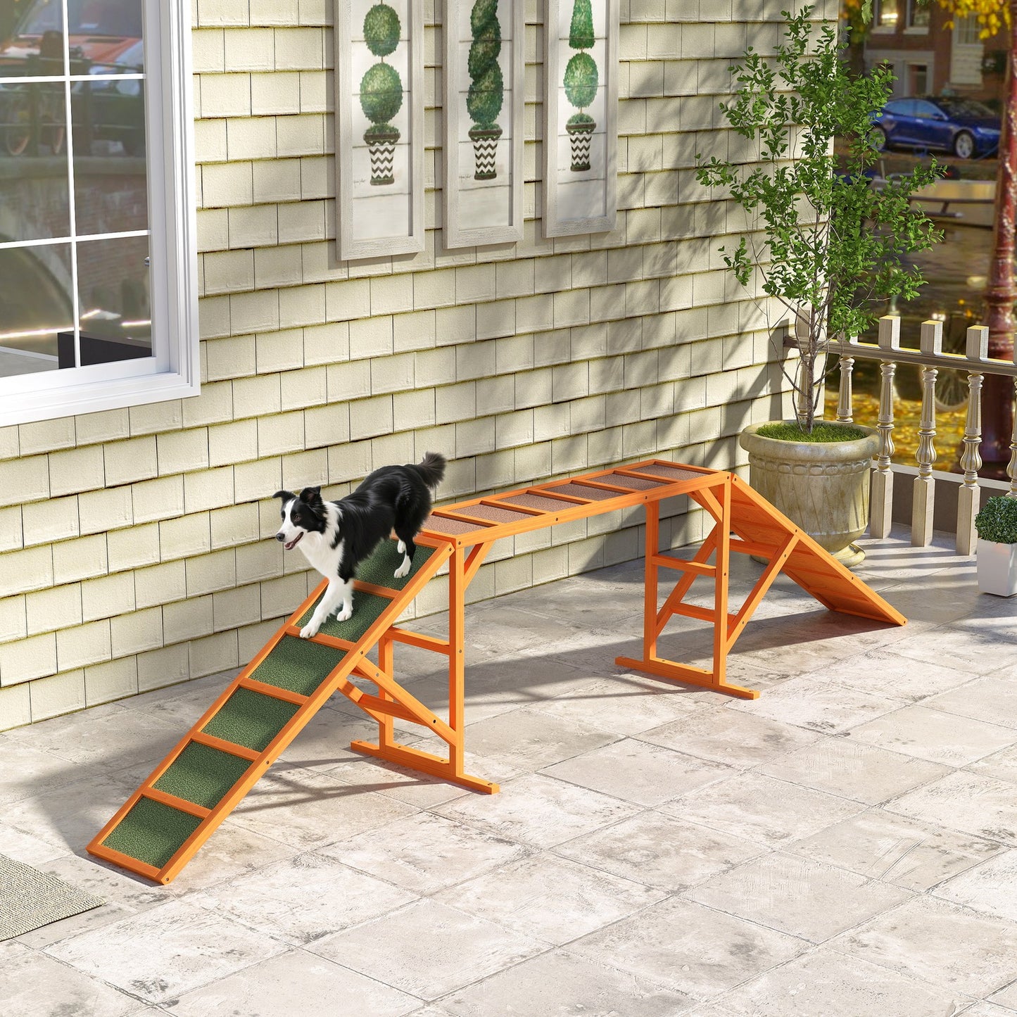 Hunde Agility Steg Agility-Ausrüs