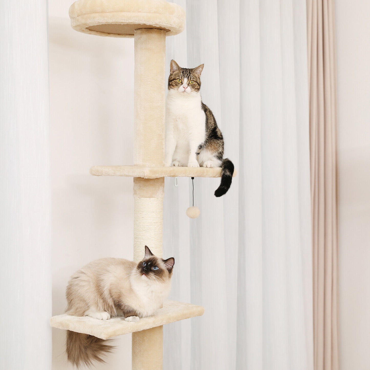 PAWZ Road Kratzbaum Deckenhoch Kletterturm Sisal Katzen Katzenbaum XL 228-274 Cm
