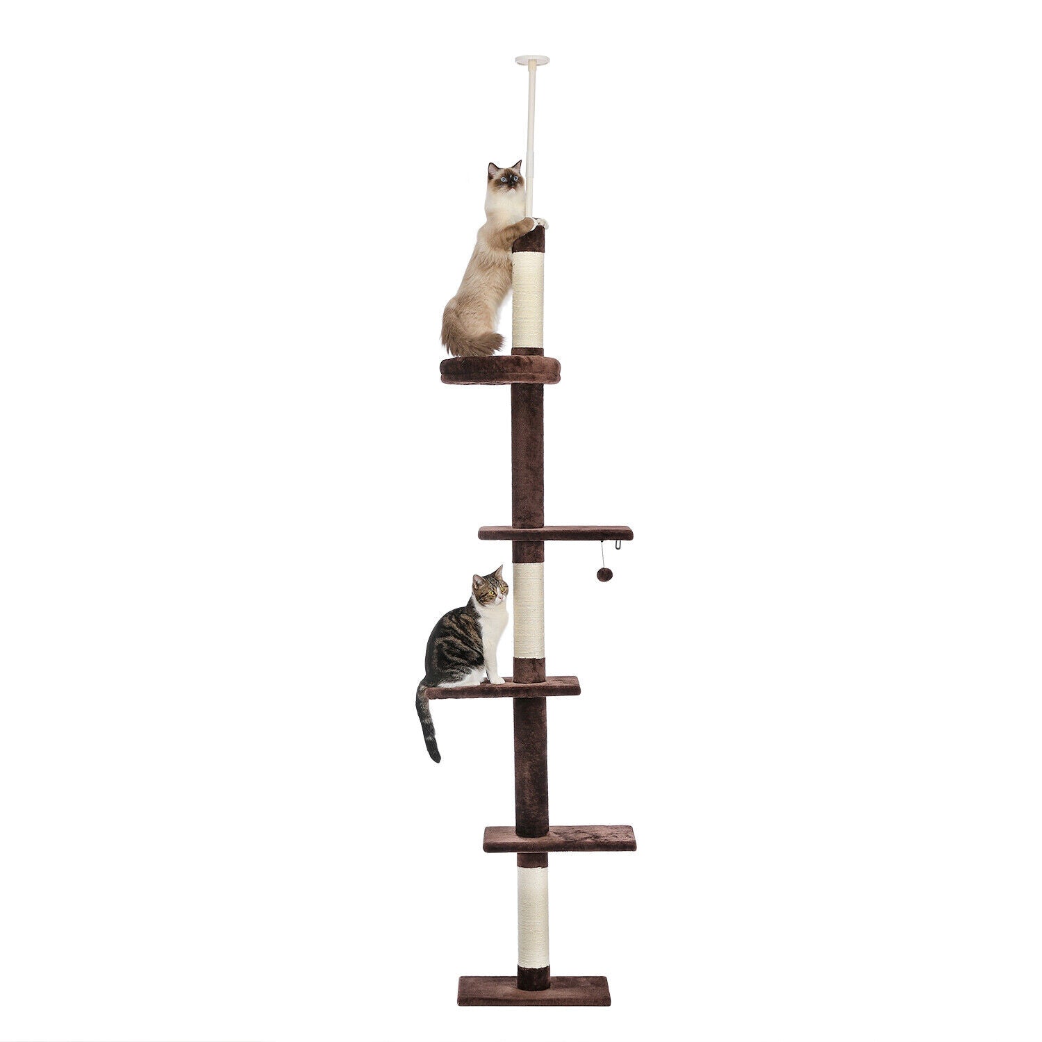 PAWZ Road Kratzbaum Deckenhoch Kletterturm Sisal Katzen Katzenbaum XL 228-274 Cm
